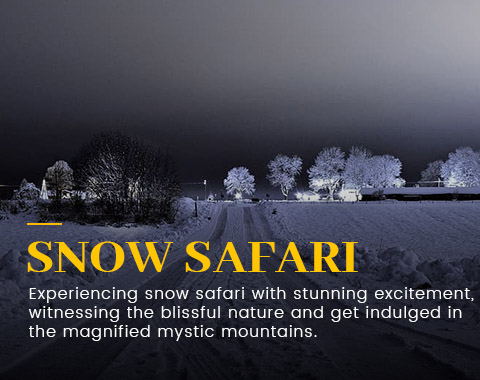 theme-tour-snow-safari