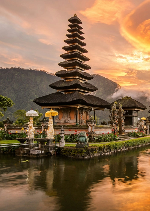 Bali Paradise