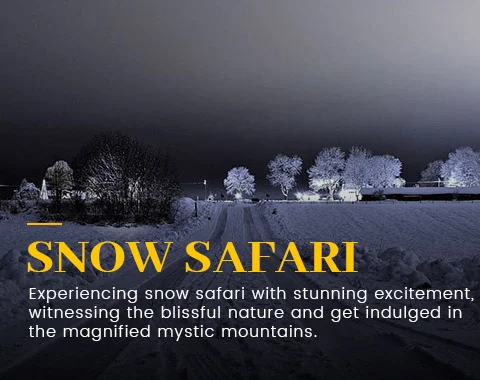theme-tour-snow-safari