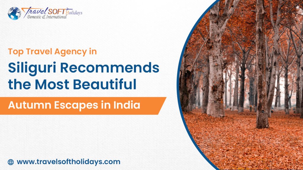 Top Travel Agency in Siliguri Recommends the Most Beautiful Autumn Escapes in India